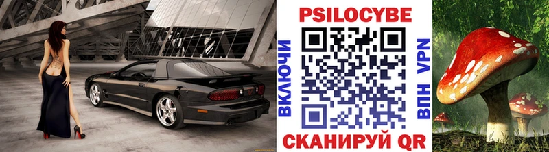 Псилоцибиновые грибы GOLDEN TEACHER  KRAKEN   даркнет наркотические препараты  Великий Новгород 